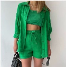 Spring Champray Lapel Long Sleeve Shirt High